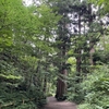 十和田湖神社