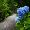 常識非常識