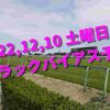 2022,12,10 土曜日 トラックバイアス予想 (中山競馬場、阪神競馬場、中京競馬場)