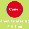 Why Is My Canon Printer Not Printing?