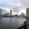 水のある景色　3月のライオンの世界