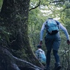 梅雨登山　探訪　関西編