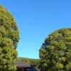 ブログ開始から４４７週🎄