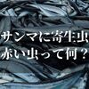 サンマから寄生虫が…！？【赤い虫が出てきたので調べてみた】