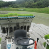 田植えも済んで、ひと段落