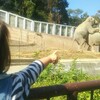 とにかく疲れた多摩動物公園