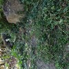 素敵な一日が始まりました。