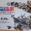 大哺乳類展　in 福岡市博物館！