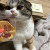 気象予報士に憧れます