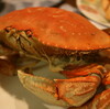  Dungeness crab