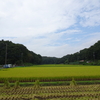 【横浜北部】寺家ふるさと村