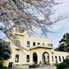 東京都庭園美術館で、200円で楽しむ桜とアート
