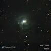 星見娘で電視観望5031(アイリス星雲 in Cep)