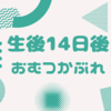 生後14日目　おむつかぶれ