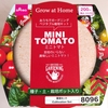 ①ダイソーの　支柱のいらない「ミニトマト」を購入してみました！