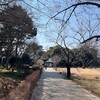 3月2日　プロティノスの”一”のイメージ。