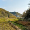 横沢入、転じて大悲願寺。ふらっとあきる野市のお散歩写活①