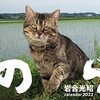 人気のカレンダーって……