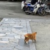 立民壊滅、公明４議席増