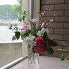 職員玄関と校長室前のお花