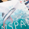 フィンスパン（ Finspan）【ボードゲーム】｜マンボウもいるし見たことないアンコウもいるし、クマノミもアレもコレも並べたくなっちゃう！ので勝敗はまぁ、、アレだ。