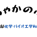 東北大学編入　tyakanobuの編入体験記