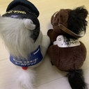 競馬の色々な話