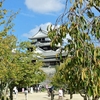 四国旅行記　その③（松山城）