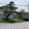 梅雨明けたんじゃないの？