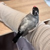 ちっちがかわいすぎる