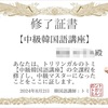 トリリンガルのトミの中級マスターテストに合格しました！