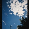 Photo No.1984 / 本日はおやすみ