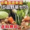 野菜の大切さ