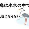 【生き物雑学】ハトは野鳥か？水鳥の冷え性？鹿の放置育児？おもろか雑学【豆知識 トリビア 面白い】