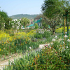 ジベルニー（Giverny）　フランス