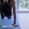 LECT×YOGA【4月のスケジュール】