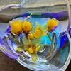 ロウバイの花と樹液でミニ花手水