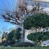 小学校訪問