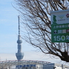 #上野恩賜公園150周年#東京の雪#スカイツリー#ウエノデパンダ春節祭