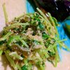 簡単おいしい！レンチン豆苗のツナ高菜胡麻マヨ和え