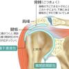 ボディメニューお休みのお知らせ