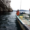 2015年11月29日　レンタルボートで小鯛大漁