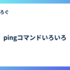 pingコマンドいろいろ
