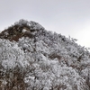 【今年初】雪が降ってます…【近況報告】