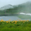 鳥海山ー残雪と花の季節ー