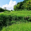 2023/09/09訪問　大観峰