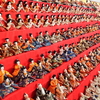 早春 房総の旅 圧巻 勝浦ビッグひな祭り　🎎