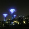 シンガポール2016その①：ガーデンズ・バイ・ザ・ベイ