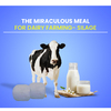 THE MIRACULOUS MEAL FOR DAIRY FARMING- SILAGE