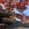 天野山　金剛寺